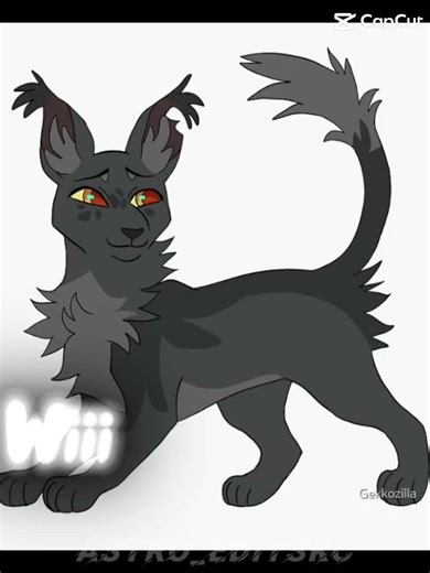 Gray wing and Half Moon edit #warriorcats #mysubscribers #warriors #cat #music #edit