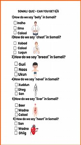 Learn Somali and English #englishsomali | Hoygaluqadaha