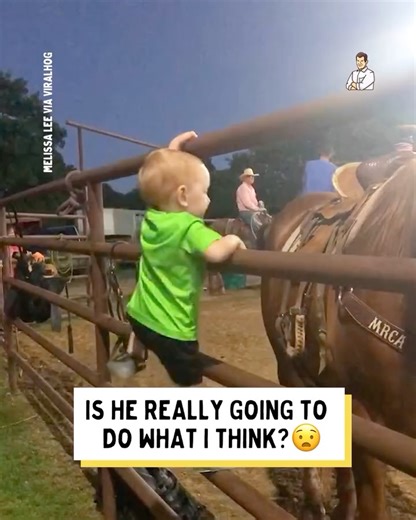 Born a cowboy 🤠 | Dad Jokes