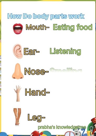 How do body parts work
