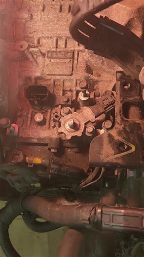 2020 palisade neutral without power