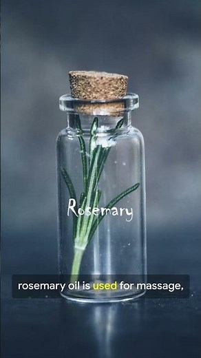 Rosemary Benefits 🌿 | Uses, Health Properties & How to Prepare It