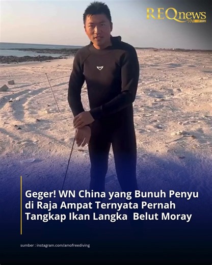WN China berinisial WS menjadi sorotan setelah video di media sosial Threads @amofreediving memperlihatkan dirinya menangkap ikan langka jenis Belut Moray di Raja Ampat. Temuan ini disebut memperkuat dugaan keterlibatannya dalam kasus dugaan pembunuhan penyu. Kepala Kantor Imigrasi Kelas I Khusus TPI Makassar, Abdi Widodo Subagio, mengatakan WS membantah tuduhan tersebut. “Kita sarankan yang bersangkutan untuk mengklarifikasinya di Sorong, di mana tempat kejadian,” kata Abdi, Selasa 15 September