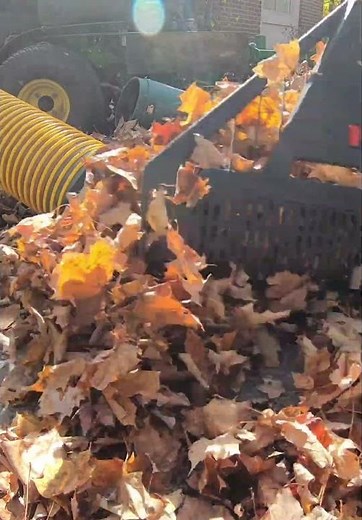 Using the Cyclone Rake to Clean Up Large Pile of Leaves #short #shortsfeed #lawncare #shortsvideo