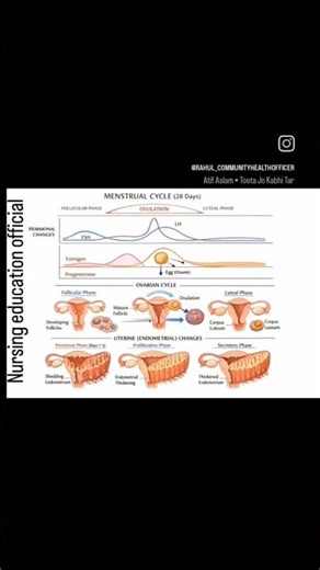 #doctor #nurseryrhymes