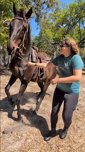 my girlfriend getting ready for some horse back riding 🐎