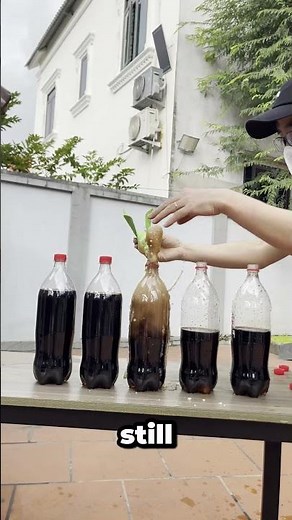 I Tested the Coca Cola and Mentos Reaction at 5 Levels 😲 #test #cocacola