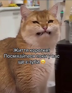 57K views · 809 reactions | Психологія здоров’я Health Psychology on Reels | Facebook