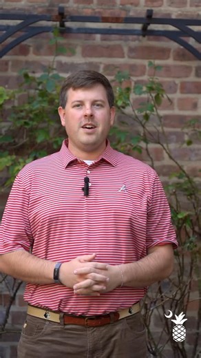 Hank Davis, VP of Government Affairs and Community Development, shares a preview of what’s coming in his Legislative Insight—coming out tomorrow! Stay tuned for key updates that impact our community and beyond. #LegislativeInsight #CommunityDevelopment #SCRLA #statehouse | SC Restaurant & Lodging Association | Facebook