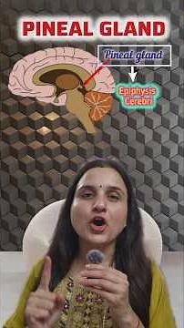 pineal gland: harmone,functions,ncert lines