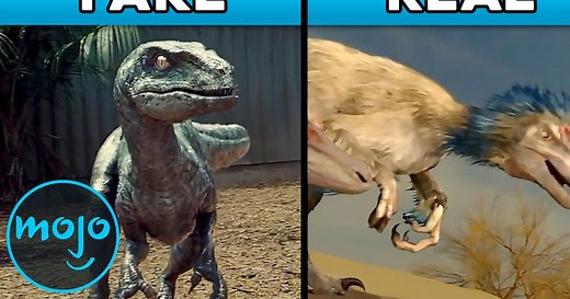 Top 10 Scientific Inaccuracies in Jurassic Park | Articles on WatchMojo.com