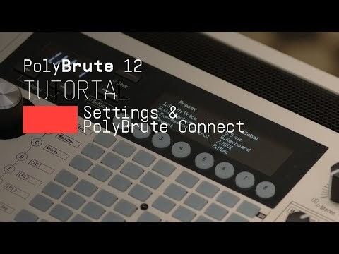 Tutorials | PolyBrute 12 - Settings & PolyBrute