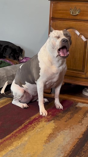 Linda & Athena on TikTok