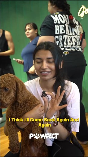 PAWFECT | PUPPY YOGA & WELLNESS on Instagram: "Stretching my soul while tiny paws stole my heart 🐾🧘‍♀️ Puppy yoga = instant happiness ✨ . . . . . . . #PuppyYoga #HyderabadEvents #BangaloreEvents #WellnessVibes #DogLoversIndia"