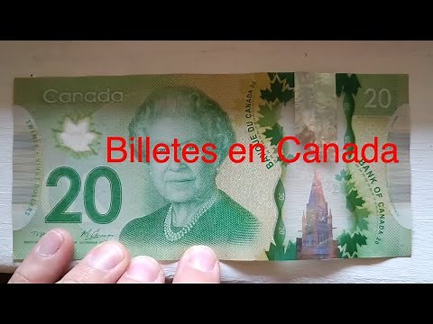 Como son los billetes Canadienses