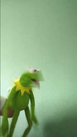 58 sec of Kermit the frog being angry