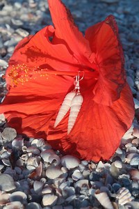 Auger Shell Earrings