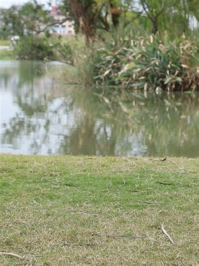 Adjustable square table#campinggear #campinglife #outdoor #campingtable #tables