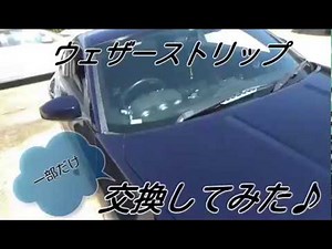 ウェザーストリップ交換してみた♪