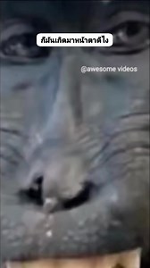 3.3K reactions · 135 shares | ก็มันเกิดมาหน้าตาดีไง #คลิปตลก #funny #reels | ตลกขำขัน เฮฮา | Facebook