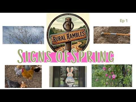 Signs of Spring Season 1 Ep 1