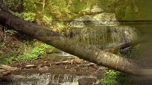 297K views · 2.8K reactions | From gentle streams to Great Lakes, set out for adventure and discover Michigan’s 3,000 miles of scenic water trails. | Pure Michigan | Facebook