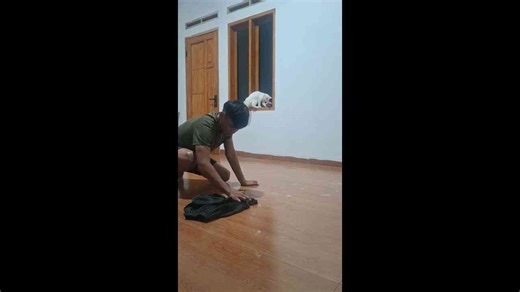 Cat knocks over paint, doubling owner’s mess in Subang, West Java
