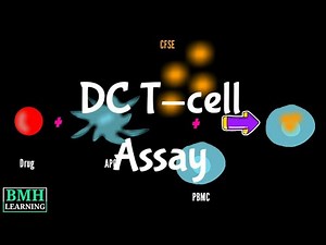DC T cell proliferation Assay | Dendritic Cell - T cell assay |