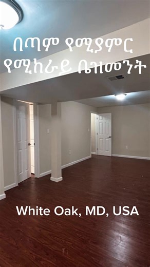Charming Walkout Basement for Rent in DMV Area