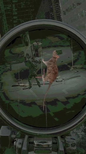 MPX Ratting 🐀 #ratting #escapefromtarkov