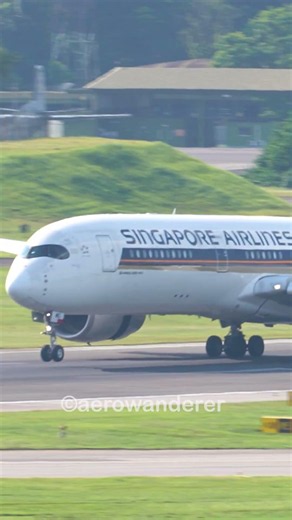 SINGAPORE AIRLINES A350-900 landing at Singapore Airport #shorts #aviation #plane #a350 #landing