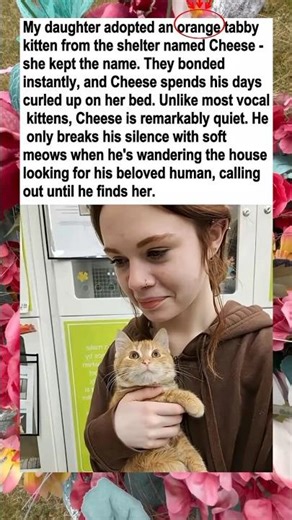 My daughter adopted an