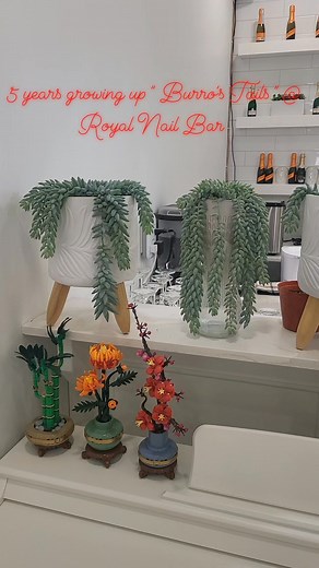 Burro's Tails 💚💚💚 | Royal Nail Bar
