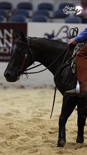 HASHTAGS | TAG on TikTok