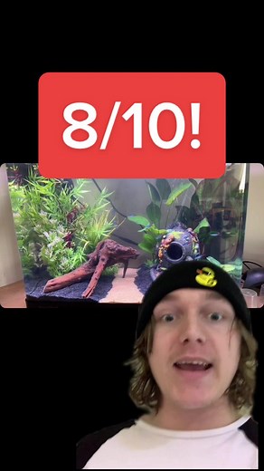 Fish Tank Reviews: Nano Tanks and Beautiful Scapes