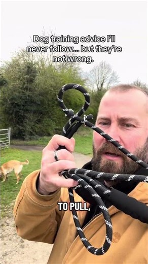 Bad Dog training advice but there not wrong