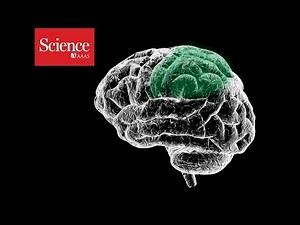 Moving robotic limbs with the power of imagination