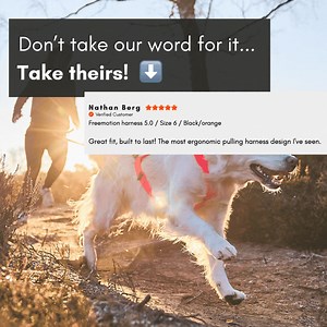 4.5K views · 14 reactions |  Give your dog the freedom to move, run, and pull—without limits.  The Freemotion Harness 5.0 isn’t just another harness. It’s engineered for dogs who love to go all out. Whether you're running, biking, or skiing, your dog deserves gear that works as hard as they do  | Non-stop dogwear | Facebook