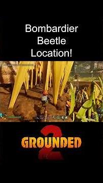Grounded 2 Bombardier Beetle Location