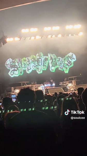 Grey Day Reflections: Insights from Napoleon and Ruby