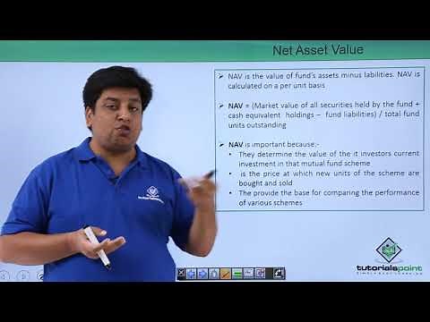 Analysis of Investment - Net Asset Value