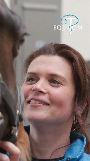 La communication animale lors des soins, ce contact rassure le cheval #cheval