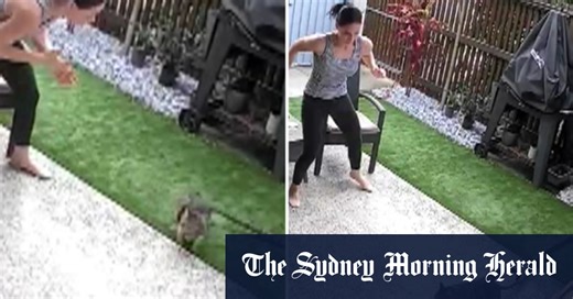 Family cat has lucky escape from carpet python