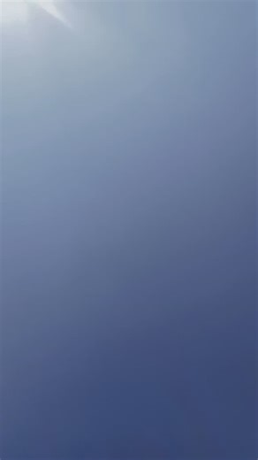 Bondita Das on Instagram: "#viralvideos #likefollowshare #instagram #support"