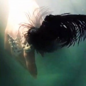 2.6K reactions · 426 shares | SUMMER SALE is now on: up to 60% OFF at STORE-MACABREGADGETS.COM! @macabregadgets #macabregadgets #jewelry #fashion #light #sale | Macabre Gadgets | Facebook