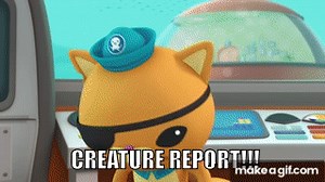 Creature Report - The Octonauts on Make a GIF