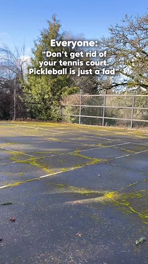 268K views · 2.8K reactions | Proof that bigger isn’t always better… I wrote all about the process of building our pickleball court on the blog today, link in bio to read:) xx #pickleball #backyard #renovation | Emily Henderson | Facebook