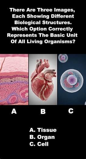 What Is the Basic Unit of All Living Organisms? – Quick Science Challenge!