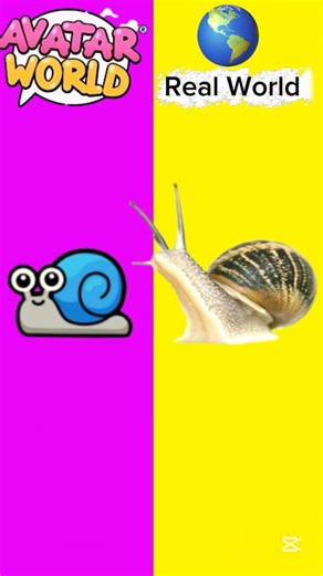 Real World vs Avatar World #avatarworld #realworld #comparison