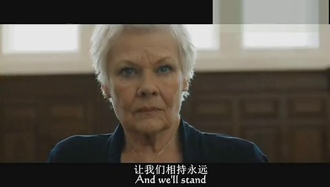 Skyfall 电影 007 天降杀机 主题曲 中英字幕 Adele